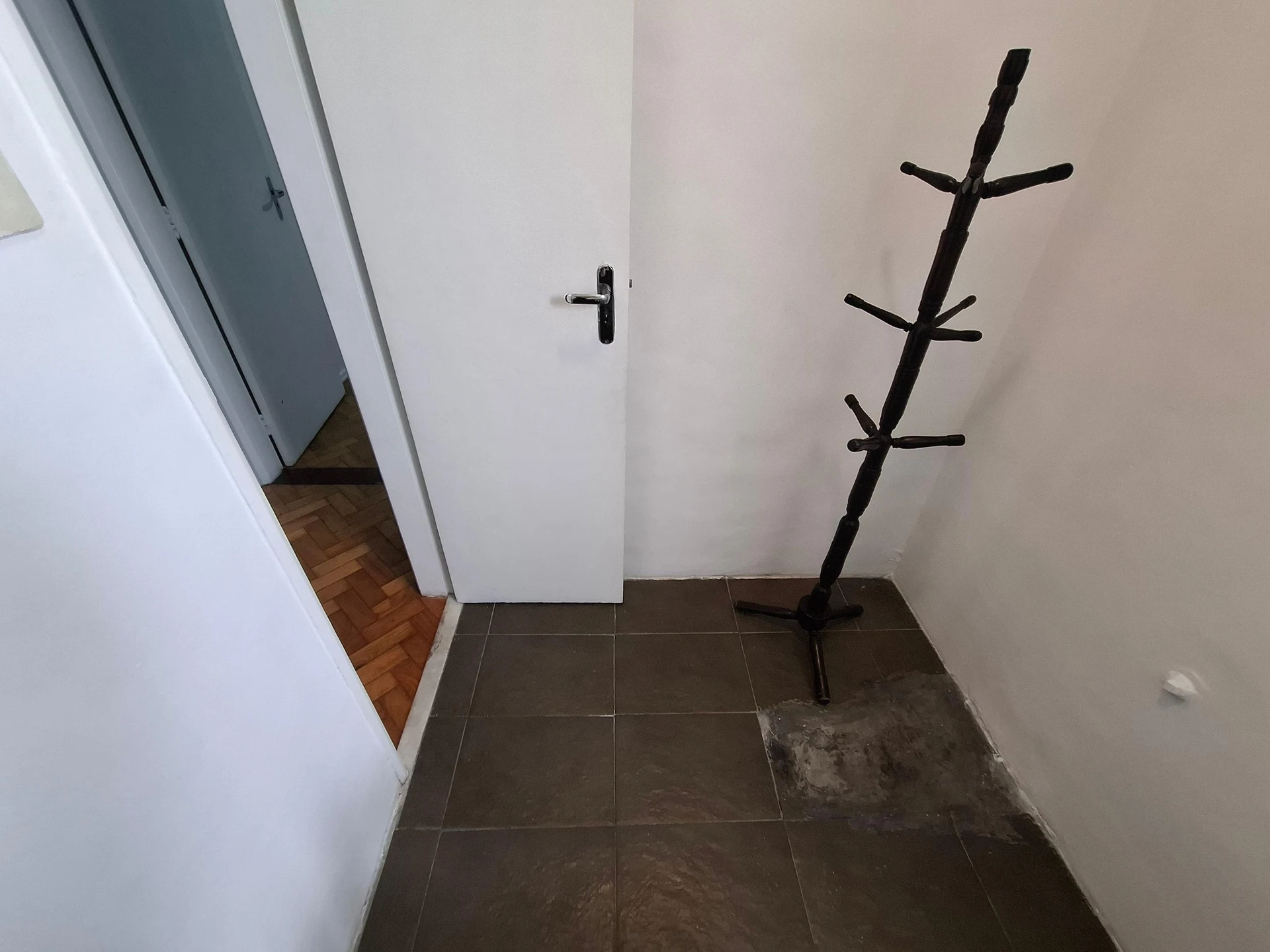 Furnished 4-bedroom apartment with 2 bathrooms — photo 12