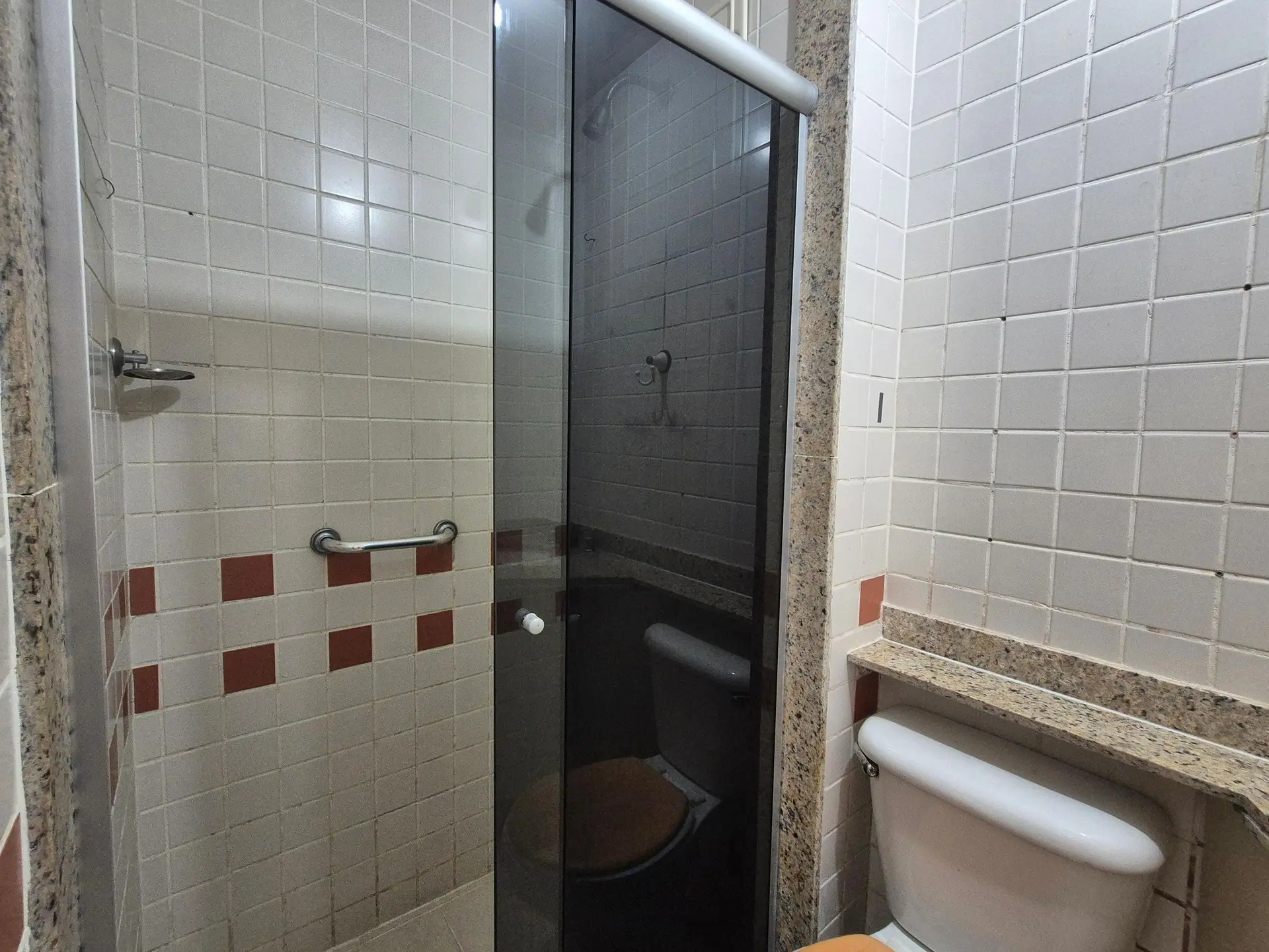 Apartamento com 2 quartos, suíte e varanda com animais — photo 35