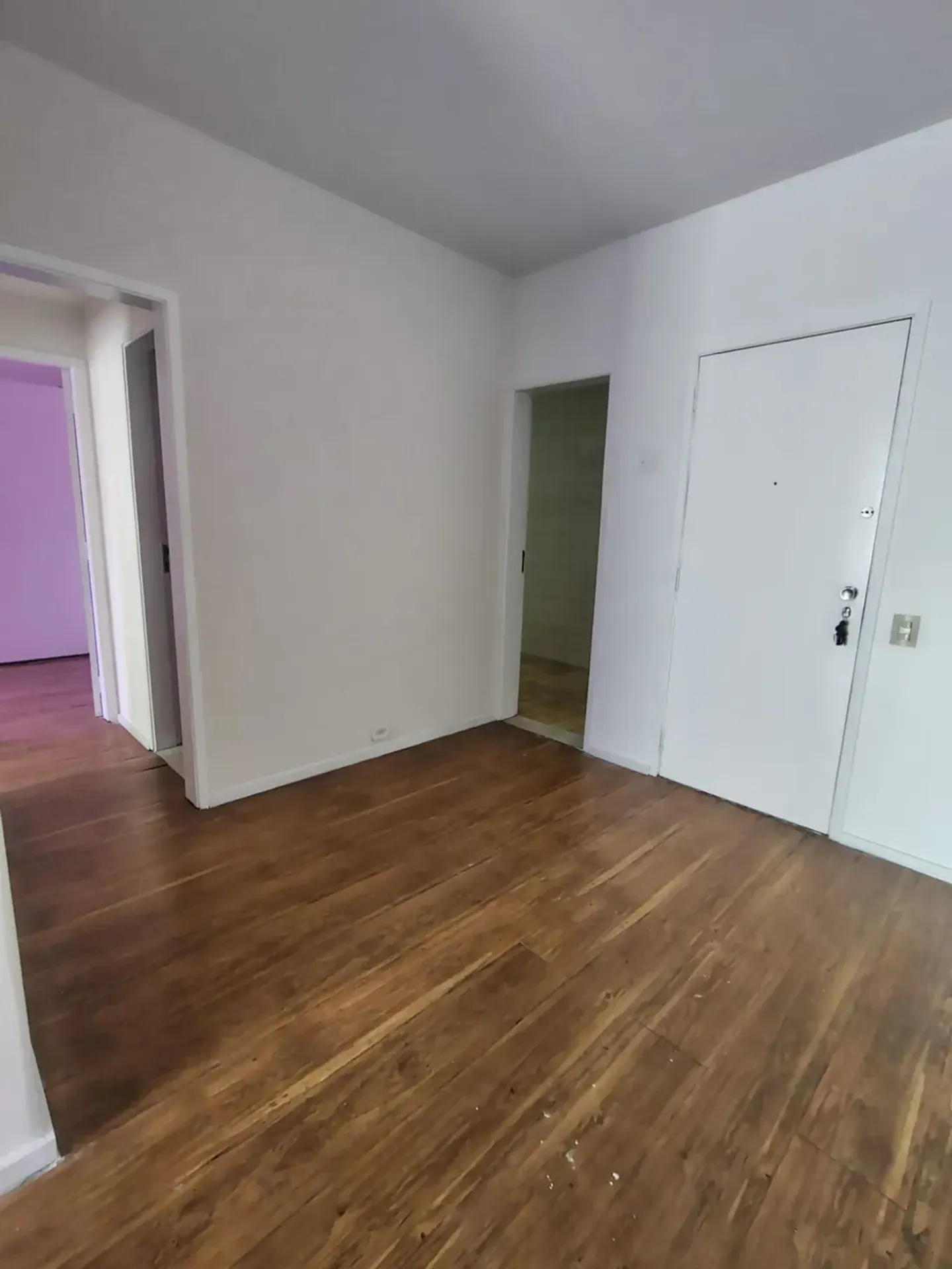 Apartamento com piso de madeira ou laminado, Maracanã — photo 2