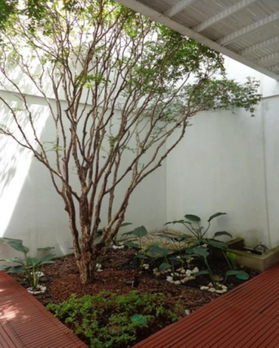 Furnished 500 m² house with 4 bedrooms and 5 parking spots — photo 45