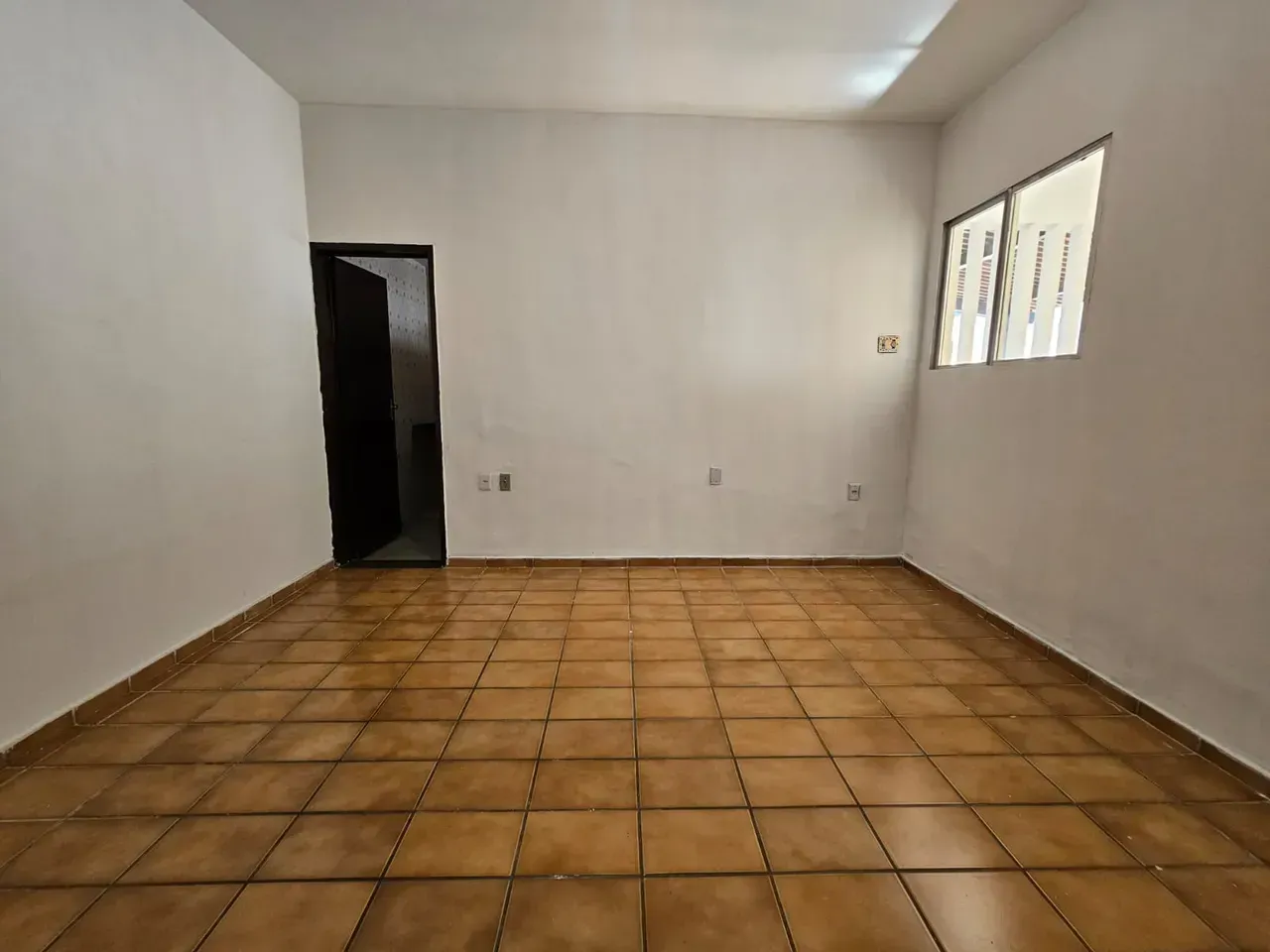 4 quartos e jardim: casa de 246 m² — photo 19
