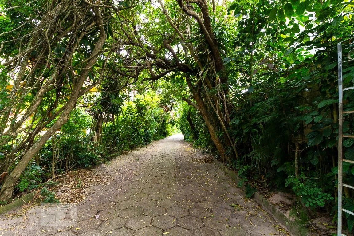 One-bedroom house with a garden in Florianópolis — photo 14