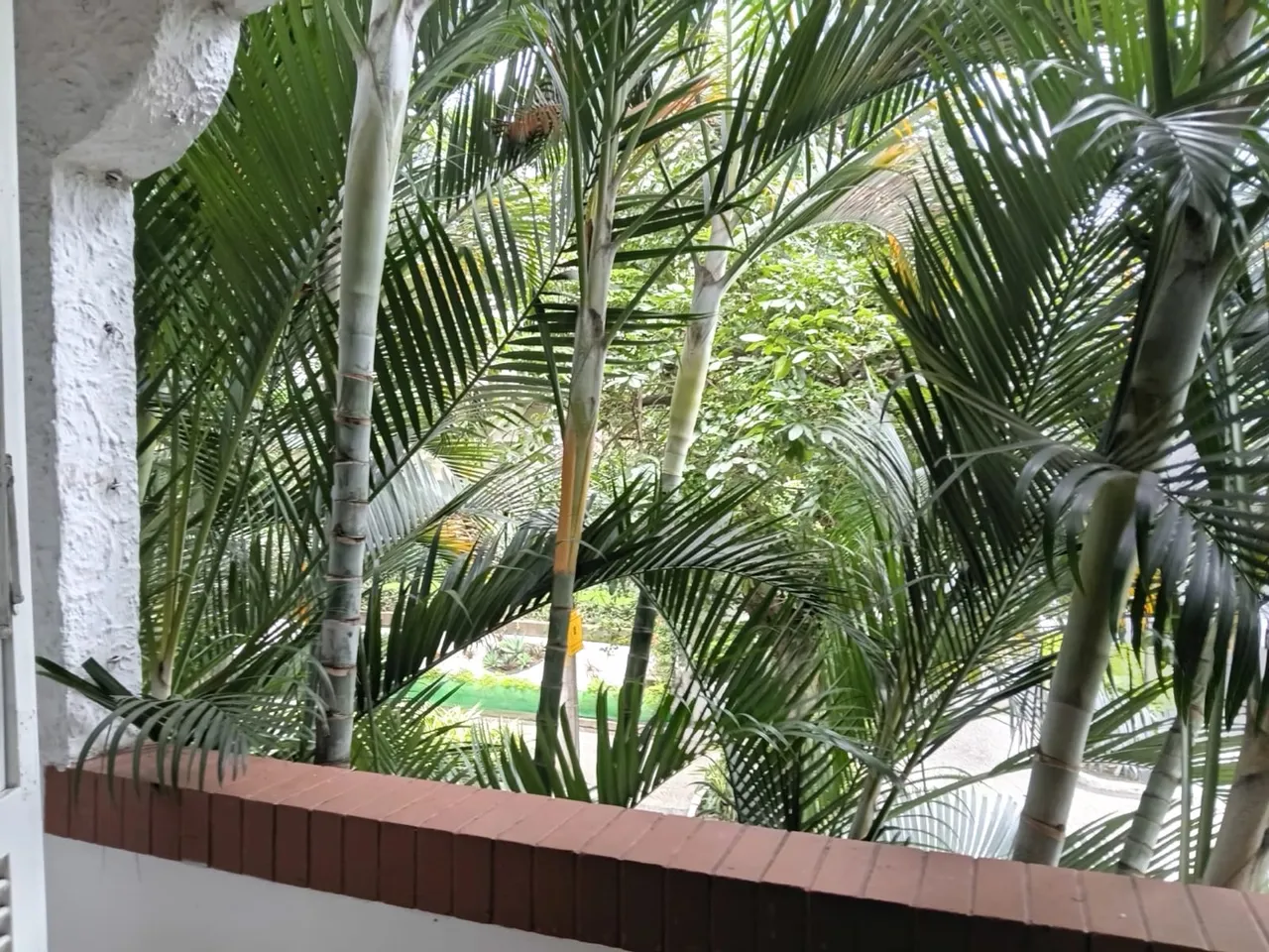 3-bedroom, 112 m² apartment in Rio de Janeiro — photo 3