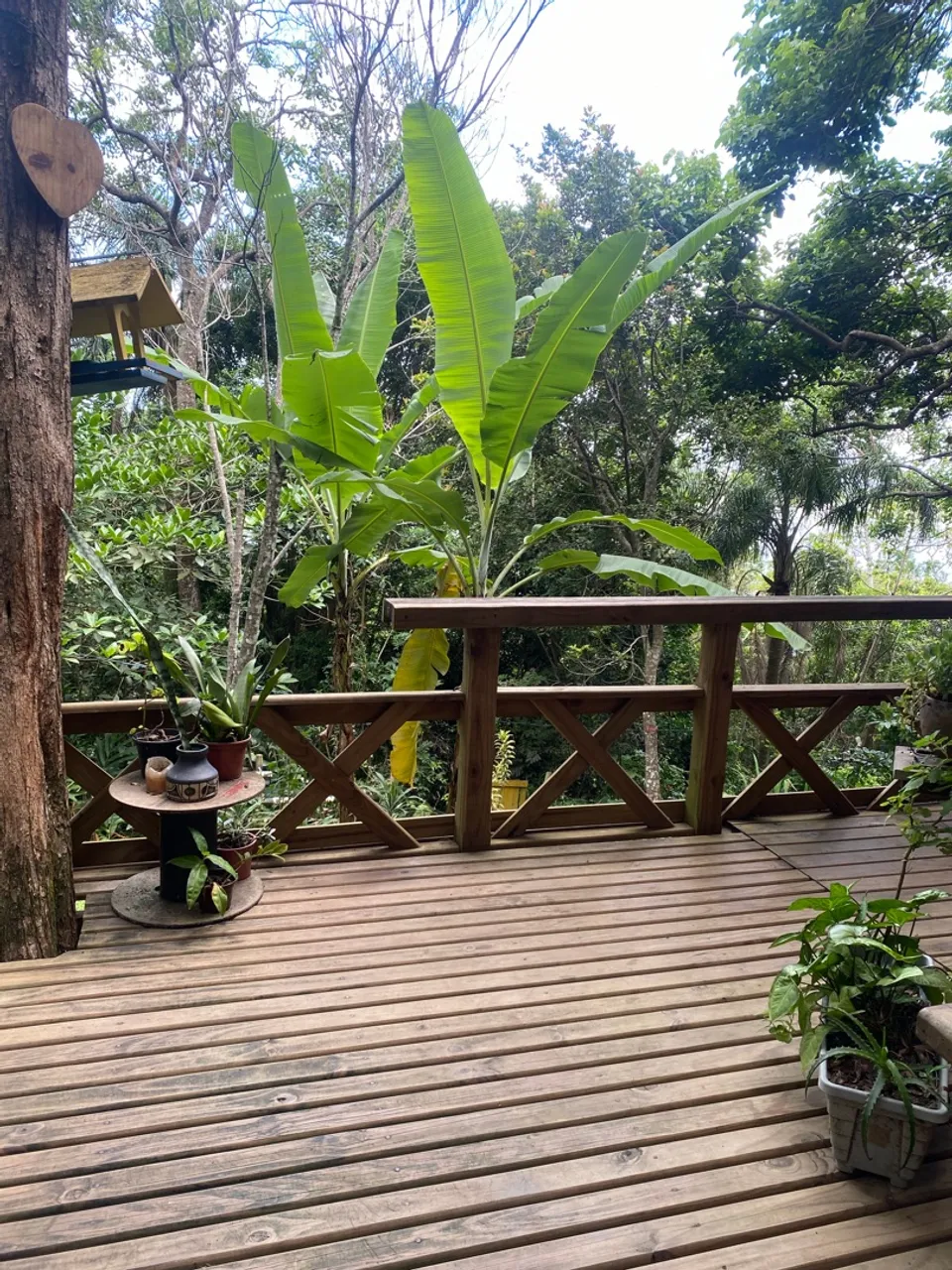 Water view in a one-bedroom house, 56 m² — photo 6