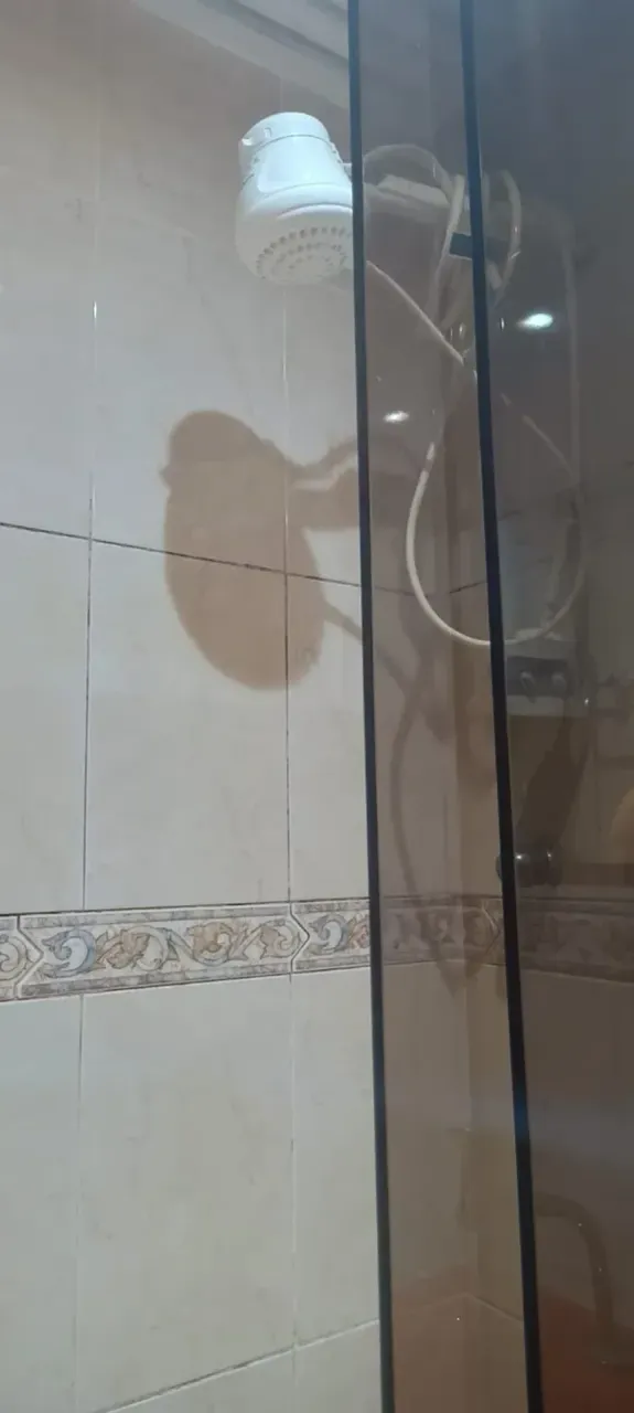 Apartamento para aluguel com 2 quartos, 65 m² e 1 vaga — photo 15