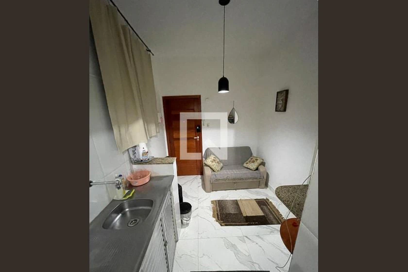 Furnished 1-bedroom apartment with a compact kitchenette — photo 16