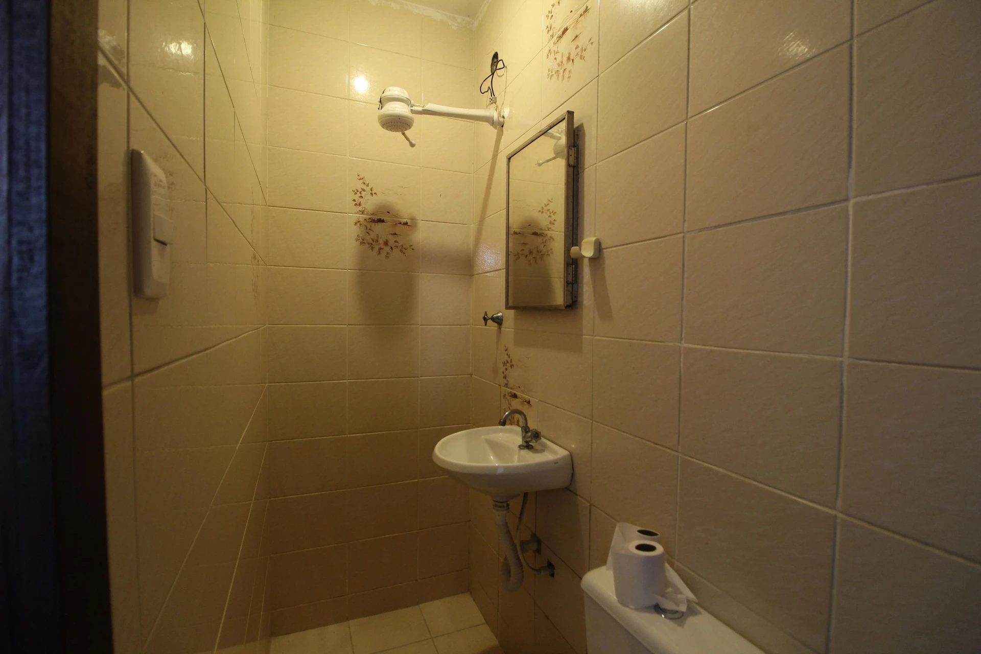 4-bedroom house with a bathtub in Rio de Janeiro — photo 42