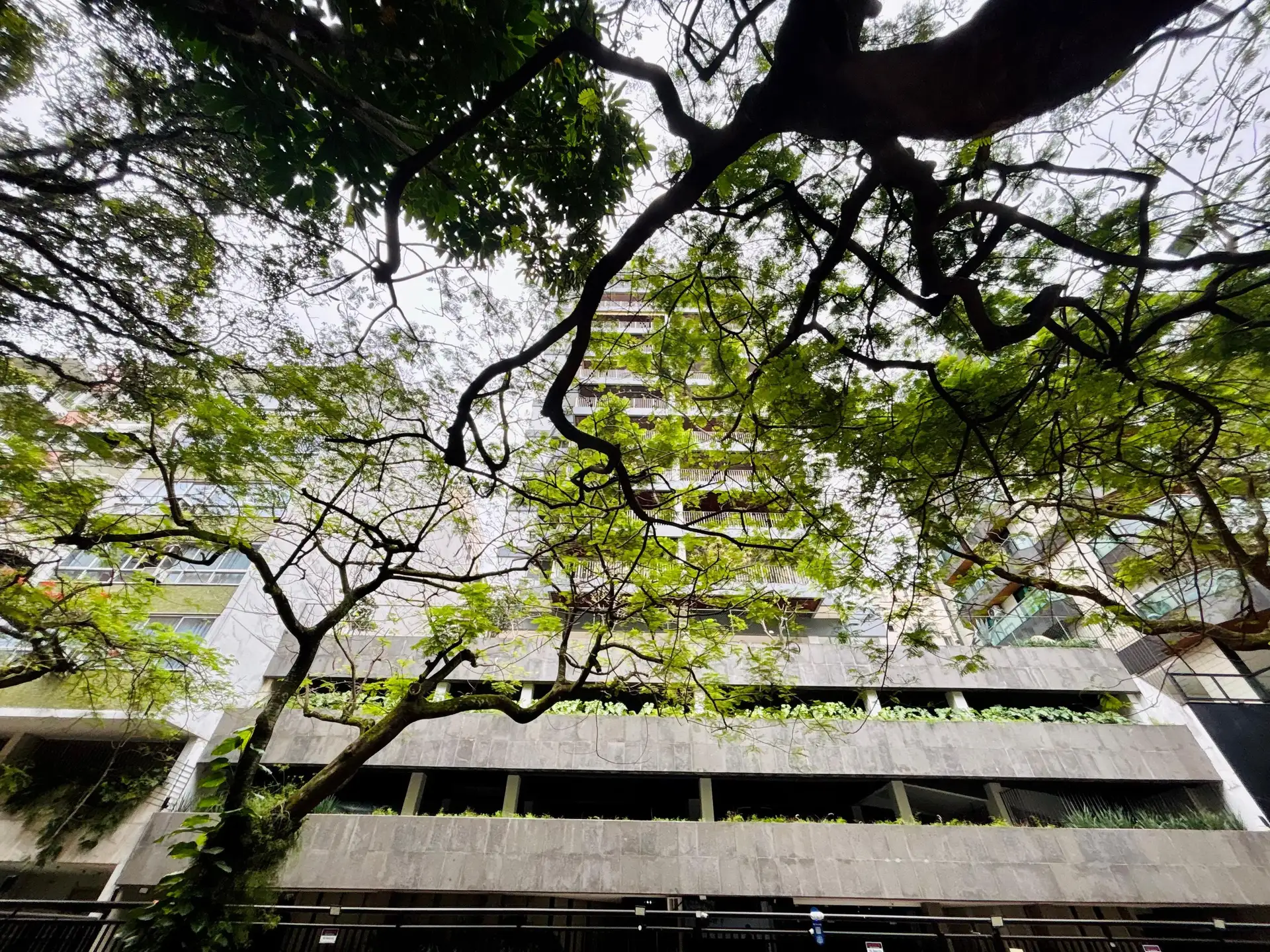 Apartamento de 3 quartos com varanda envidraçada, Ipanema — photo 62