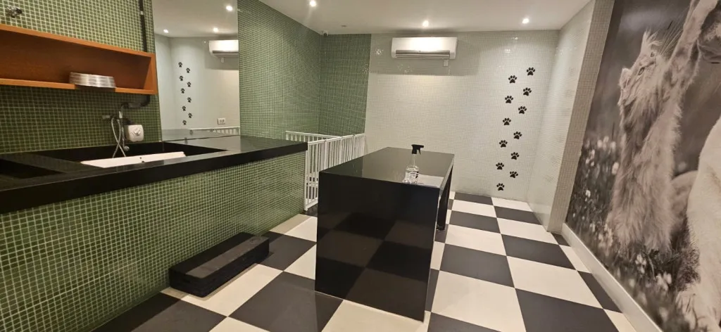 Washing machine in a one-bedroom apartment, 66 m² — photo 41