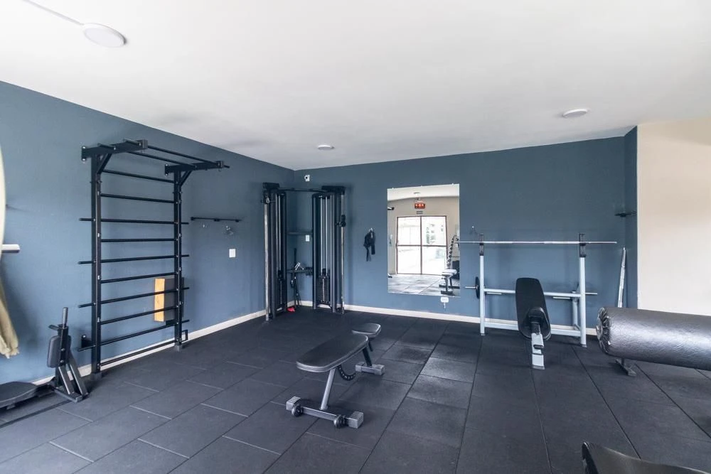2-bedroom apartment in a building with a gym — photo 39