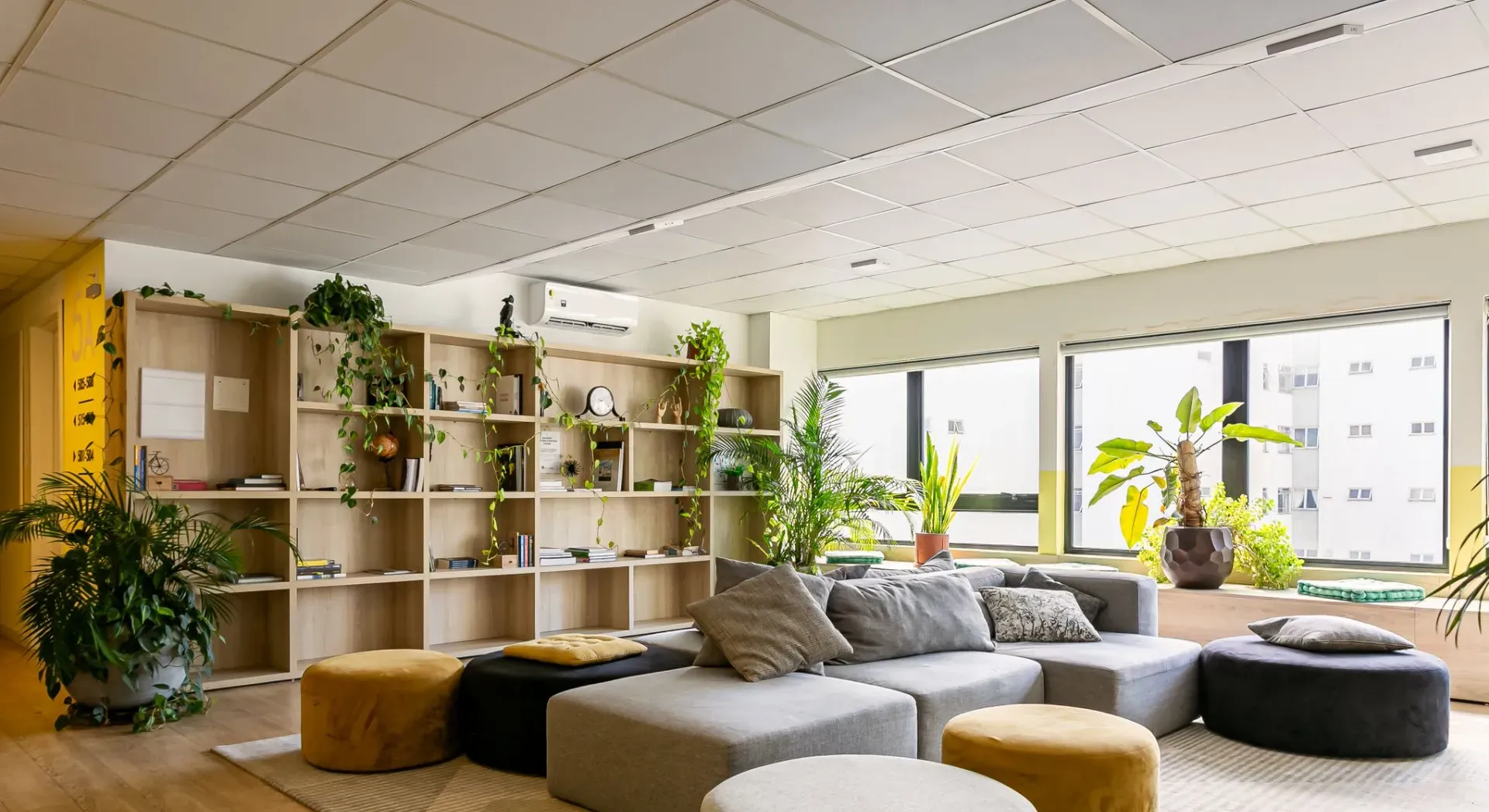 Облаштований студіо 30 м² із власним садом — photo 22