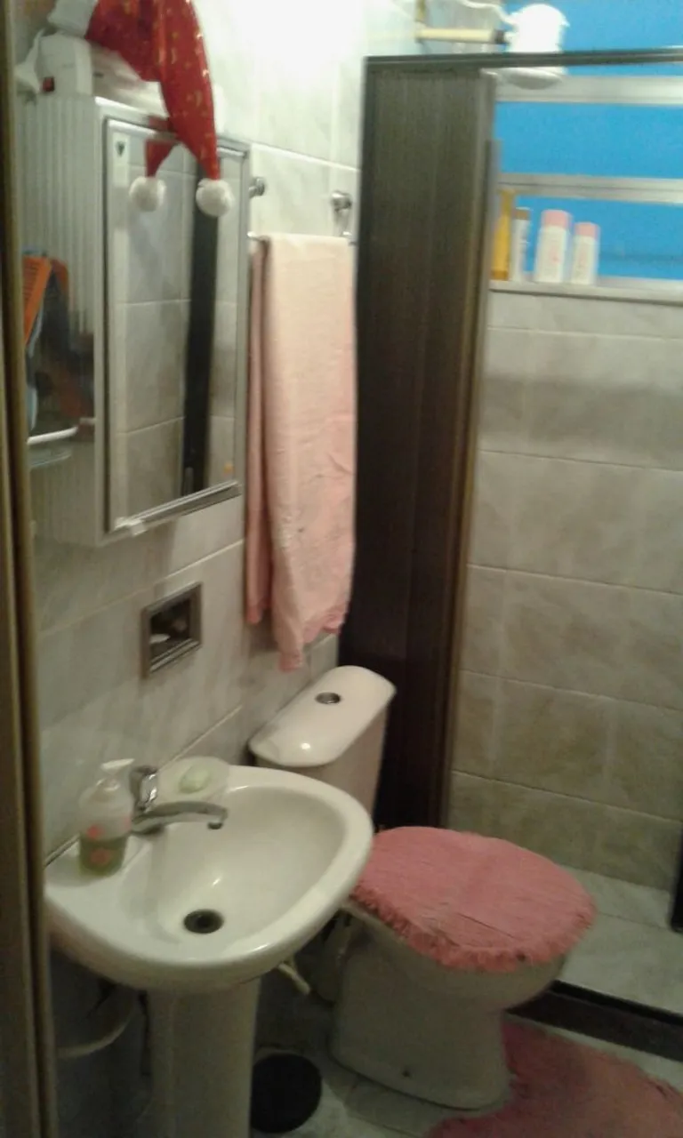 Furnished one-bedroom, 60 m² apartment in Rio de Janeiro — photo 11