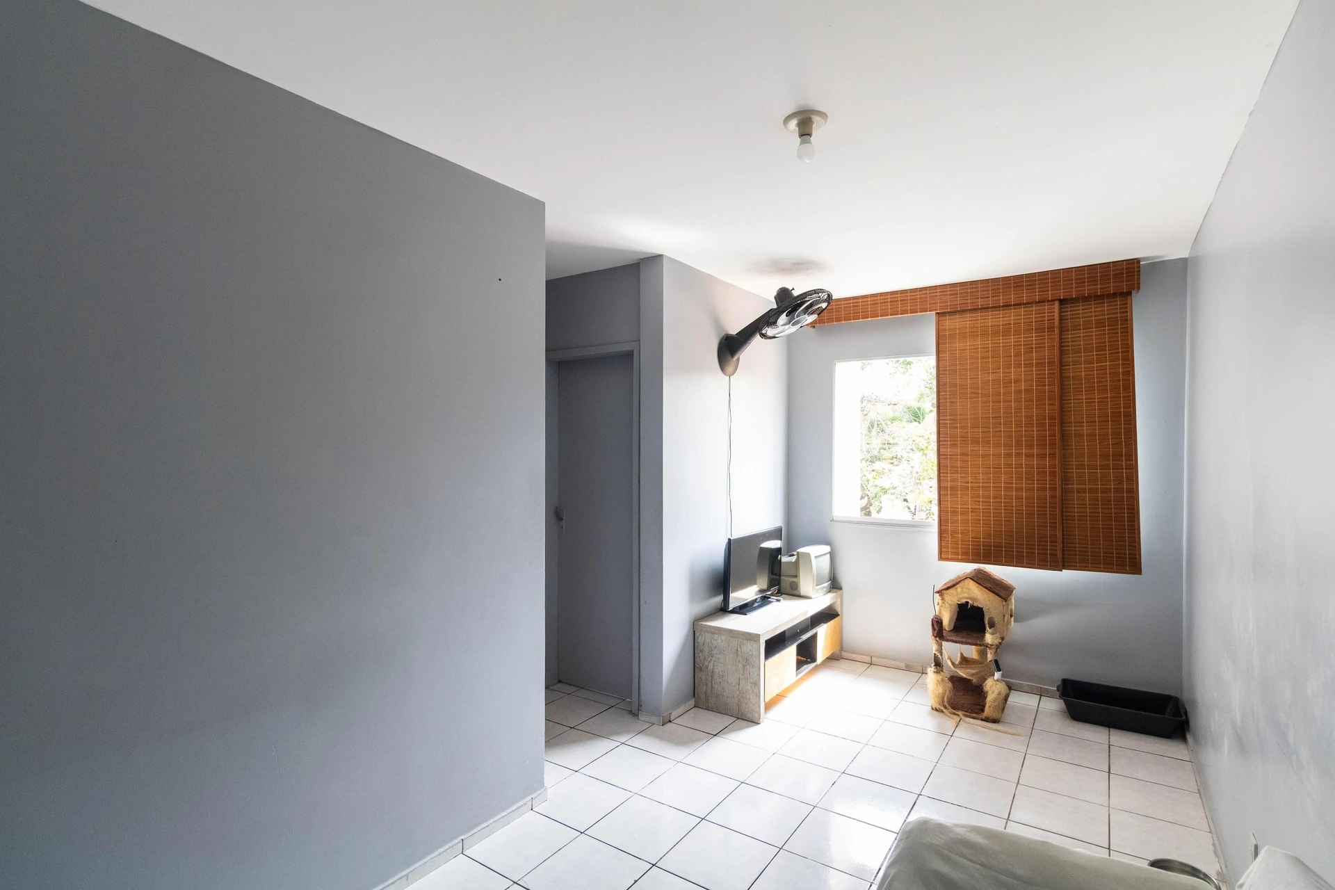2-bedroom apartment in a building with a gym — photo 5