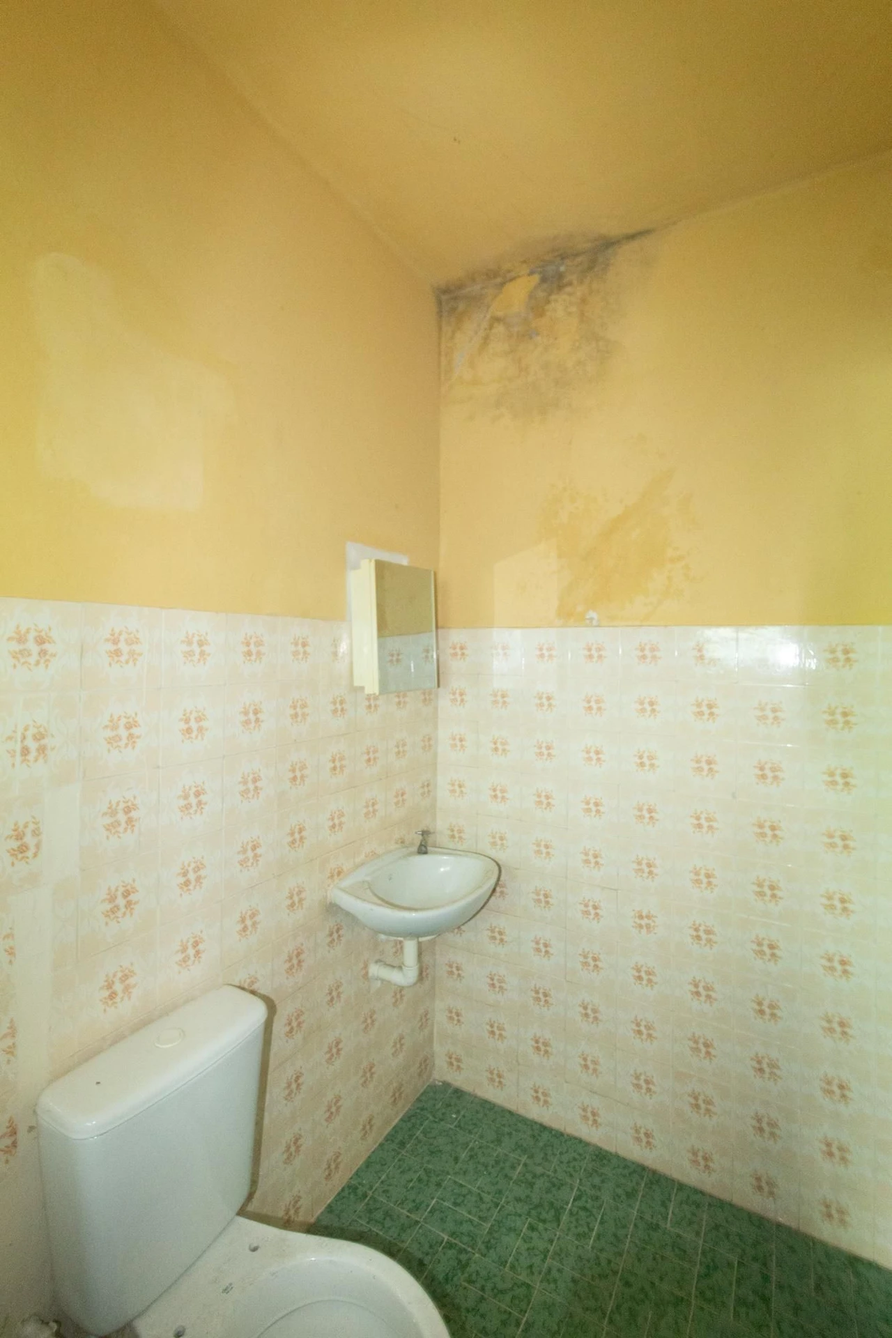 Rental house with 1 bedroom and a separate kitchen — photo 11