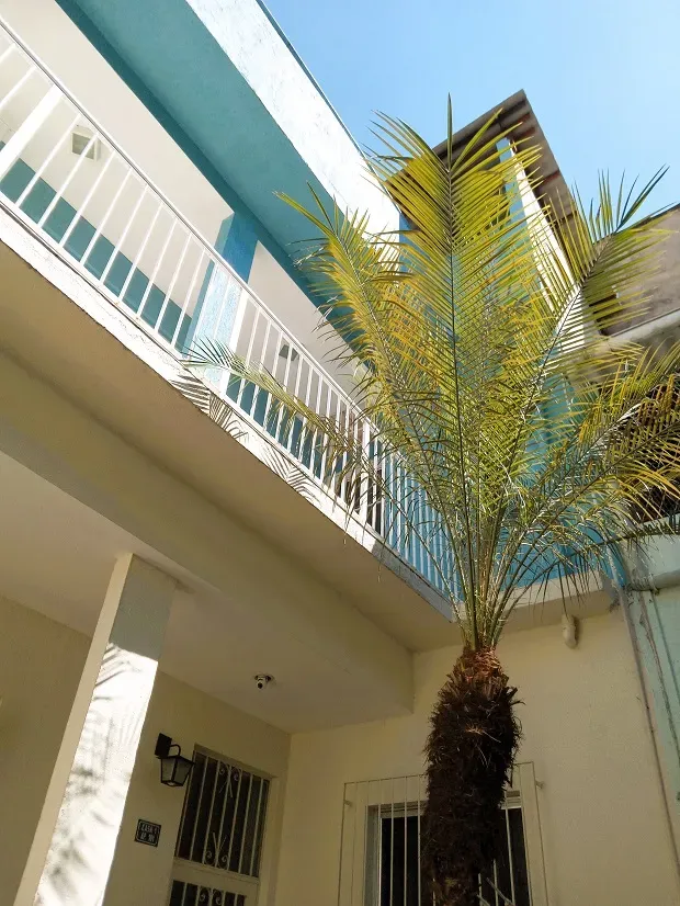 Casa sem vaga, 3 quartos e 3 banheiros reformada — photo 2