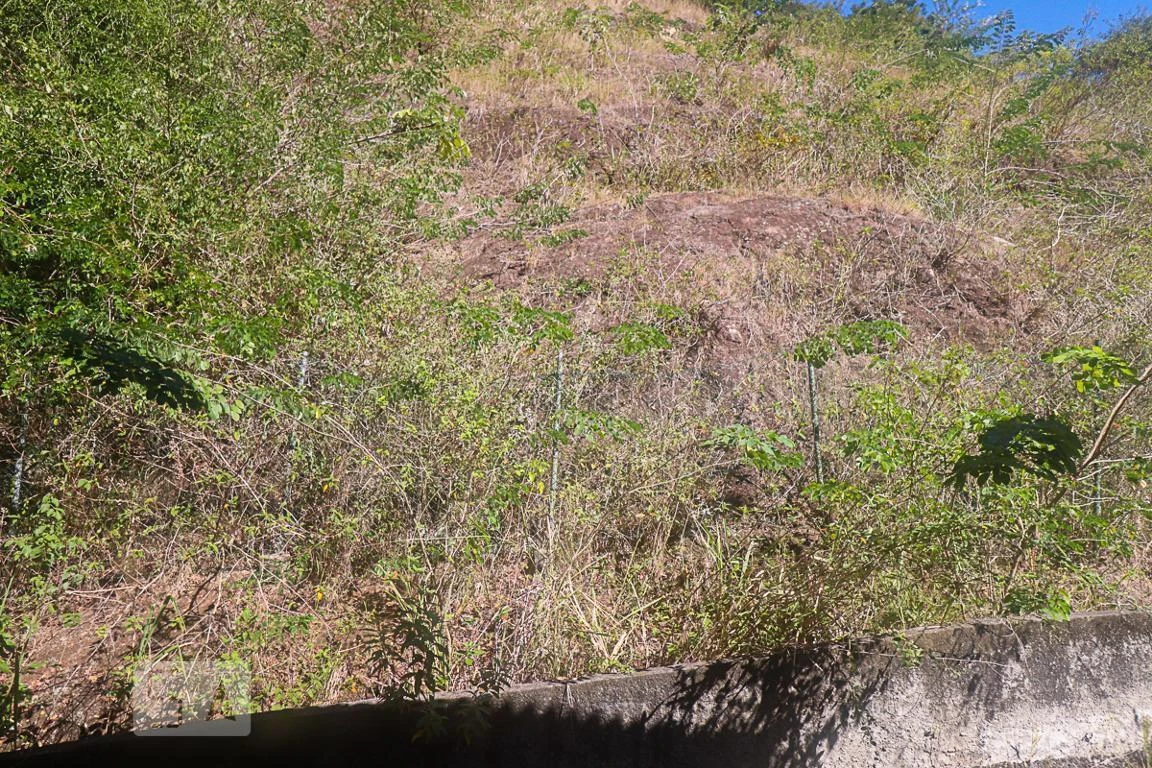 Casa em condomínio com 8 quartos e jardim privativo — photo 33