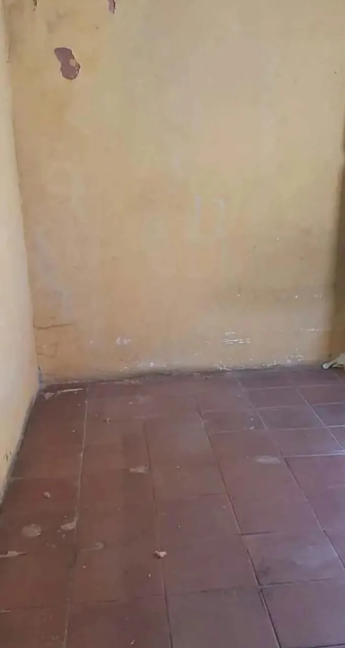 3-bedroom house, 50 m² — photo 7