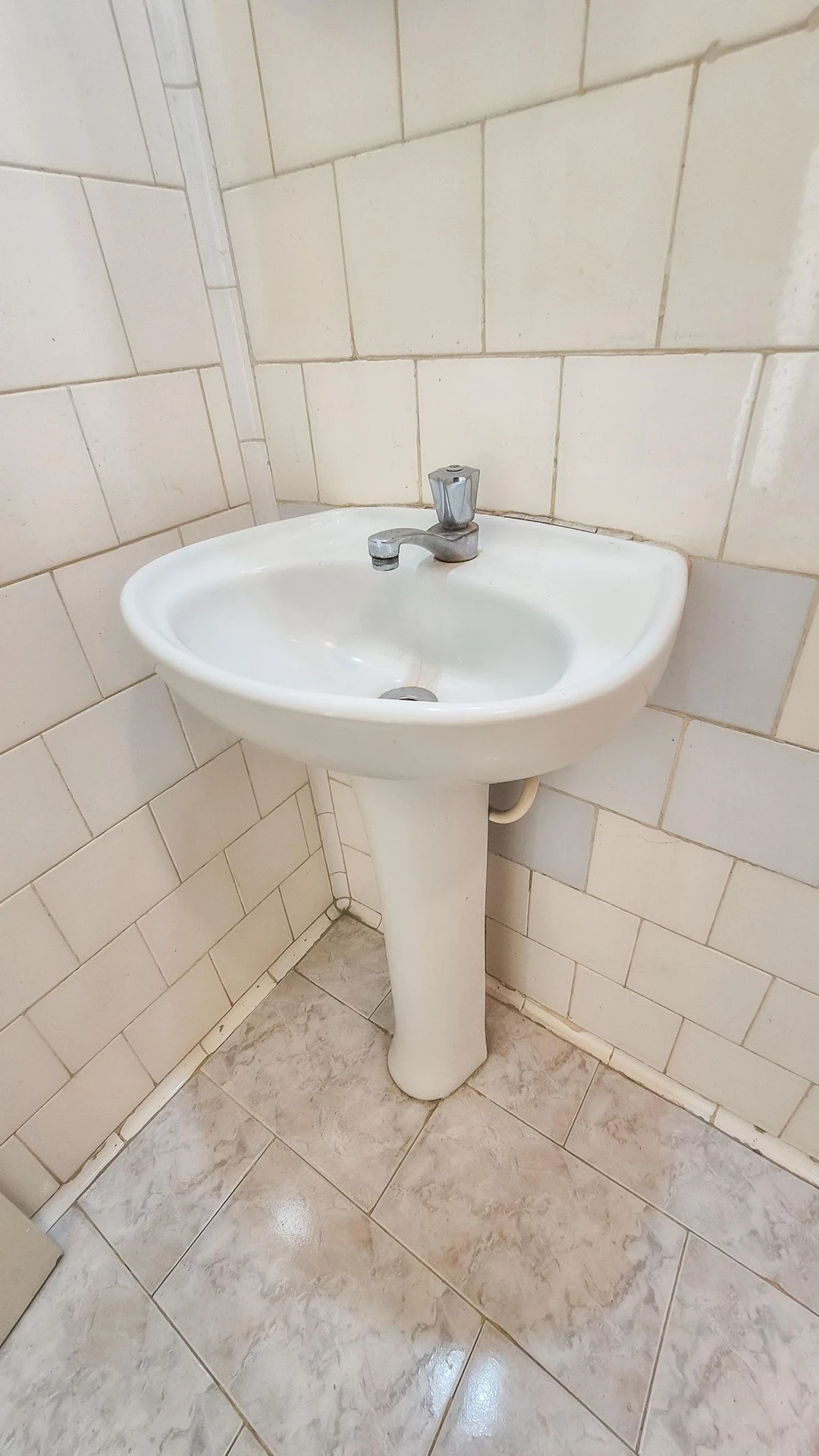 Apartamento con 2 dormitorios, 1 baño y acepta mascotas — photo 35