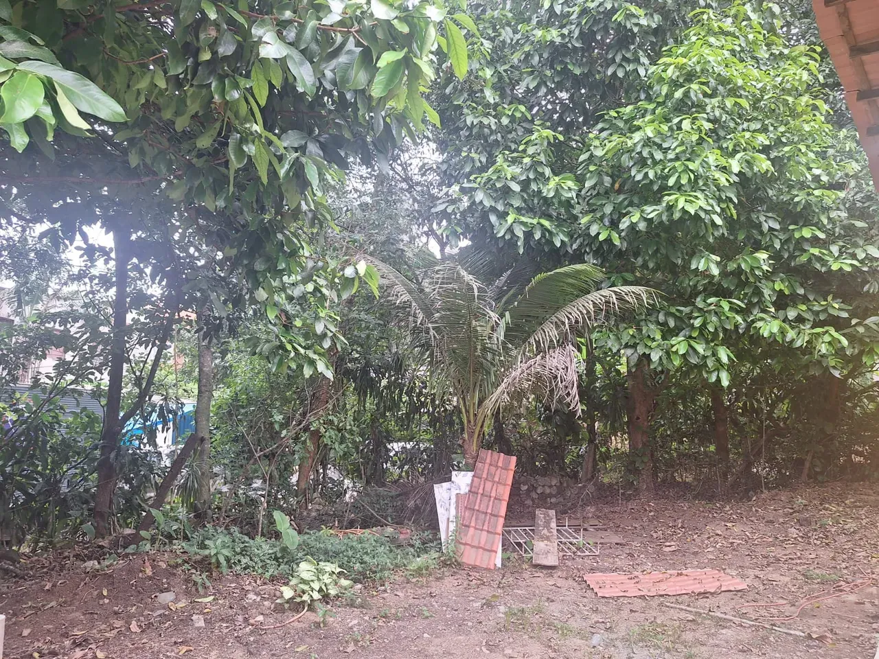 2-bedroom house, 55 m² — photo 15