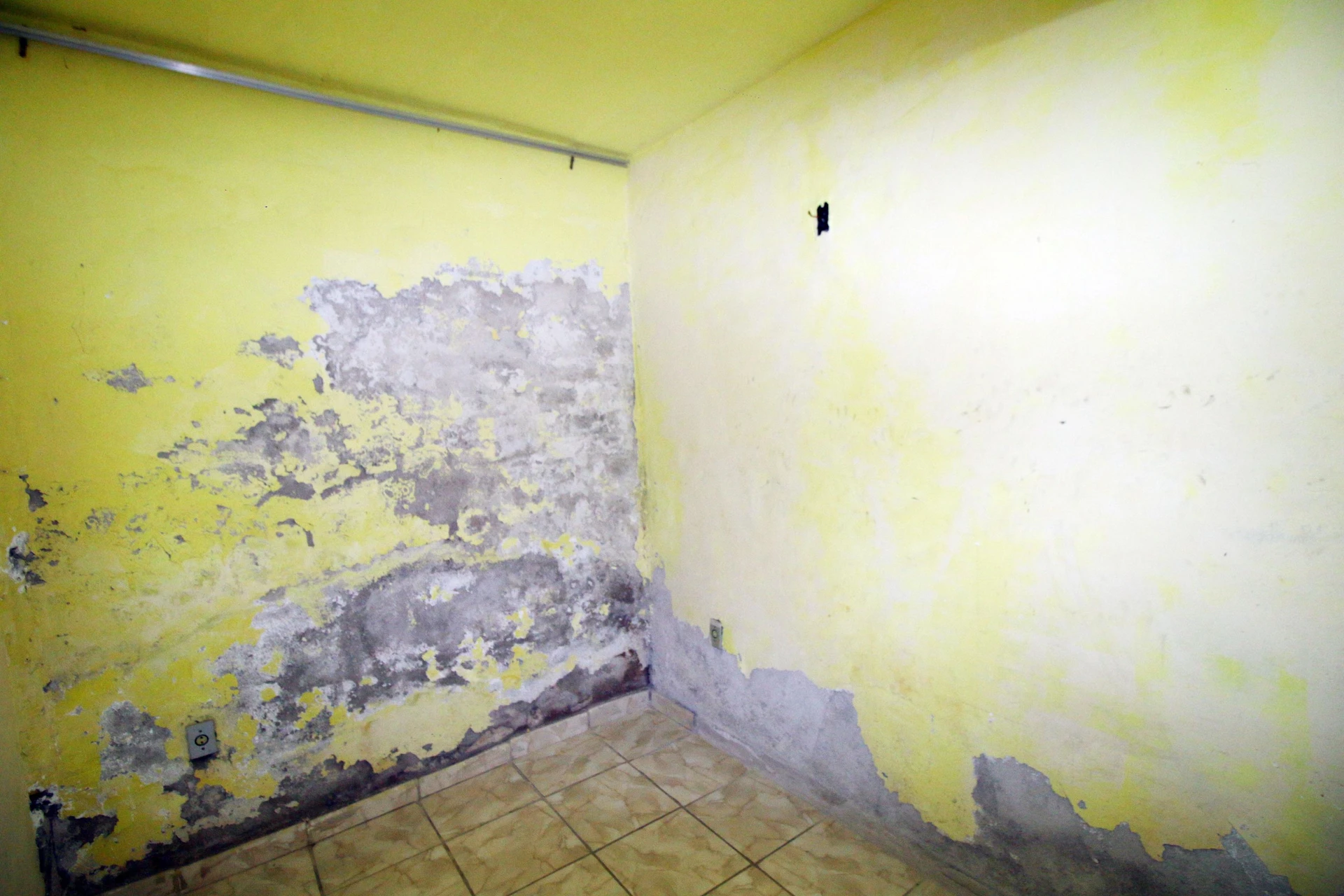 Немеблированный дом с 1 спальней, 1 ванной и зоной стирки — photo 24