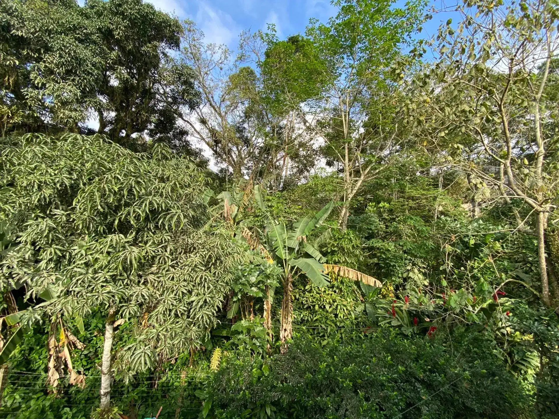 House, 140 m², with a mountain view — photo 14