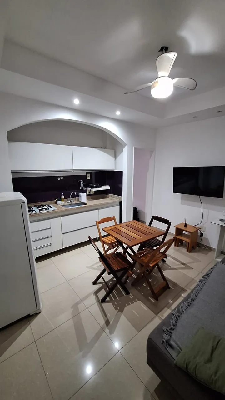 Furnished 1-bedroom apartment with open-plan kitchen — photo 12