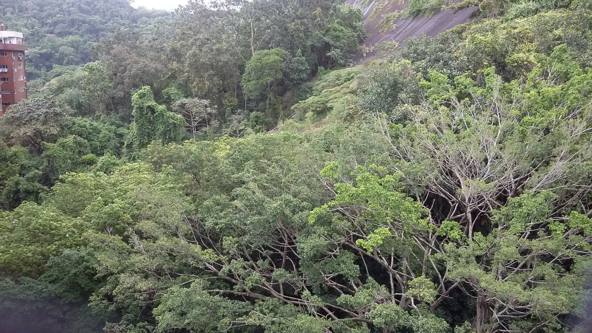 Apartamento de 400 m² com 4 quartos e 5 banheiros — photo 10