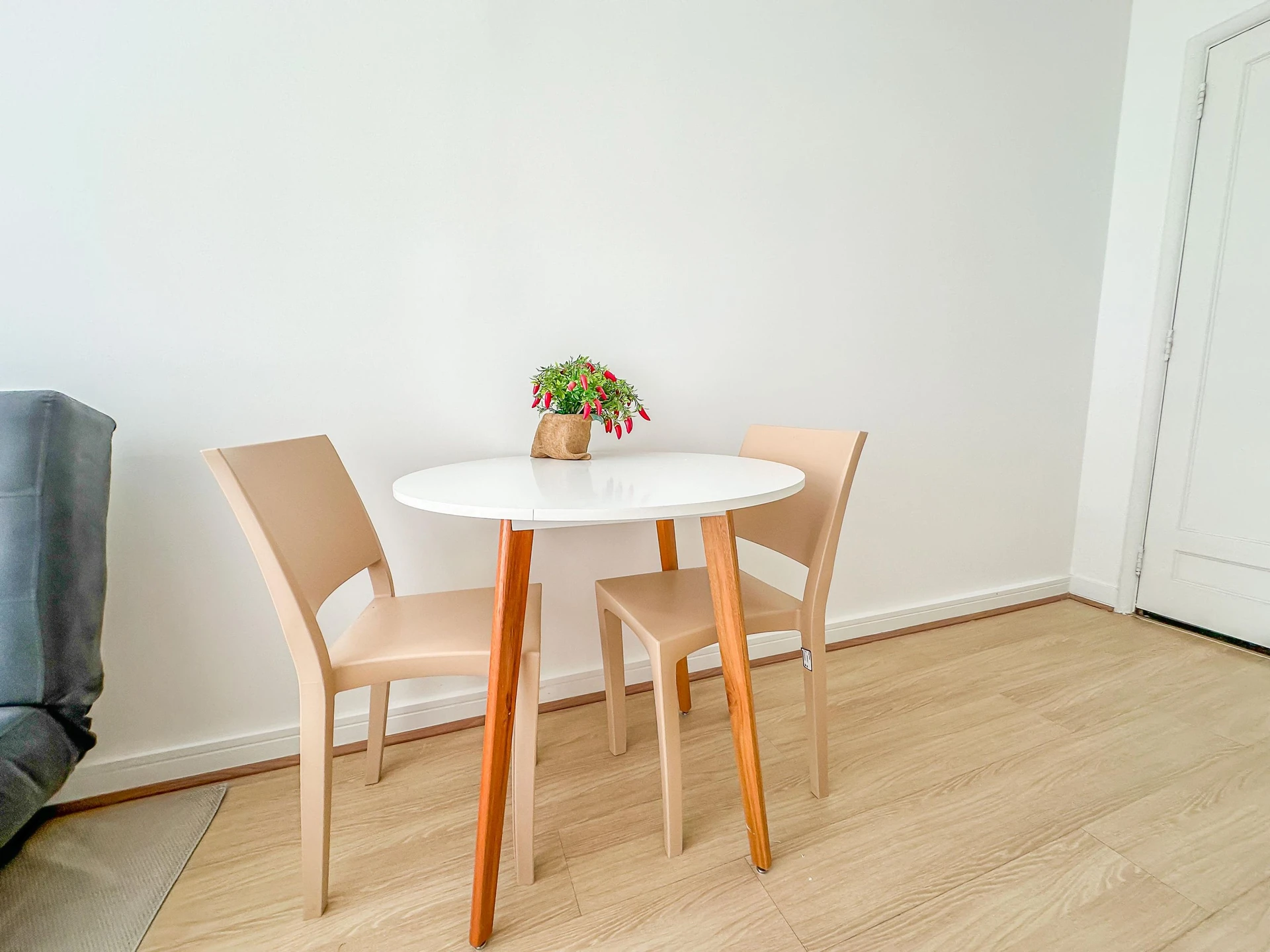 Furnished studio, 30 m², with wood or laminate floors — photo 12