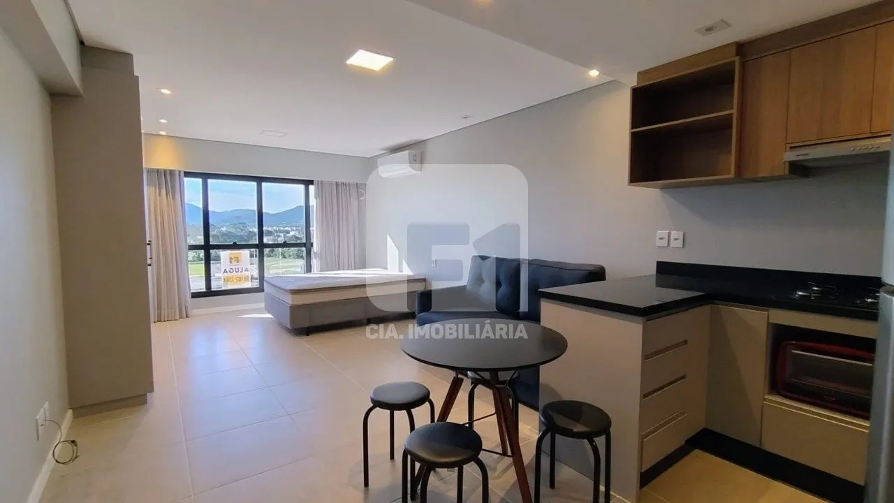 Furnished 40 m² studio with parking and open-plan kitchen
