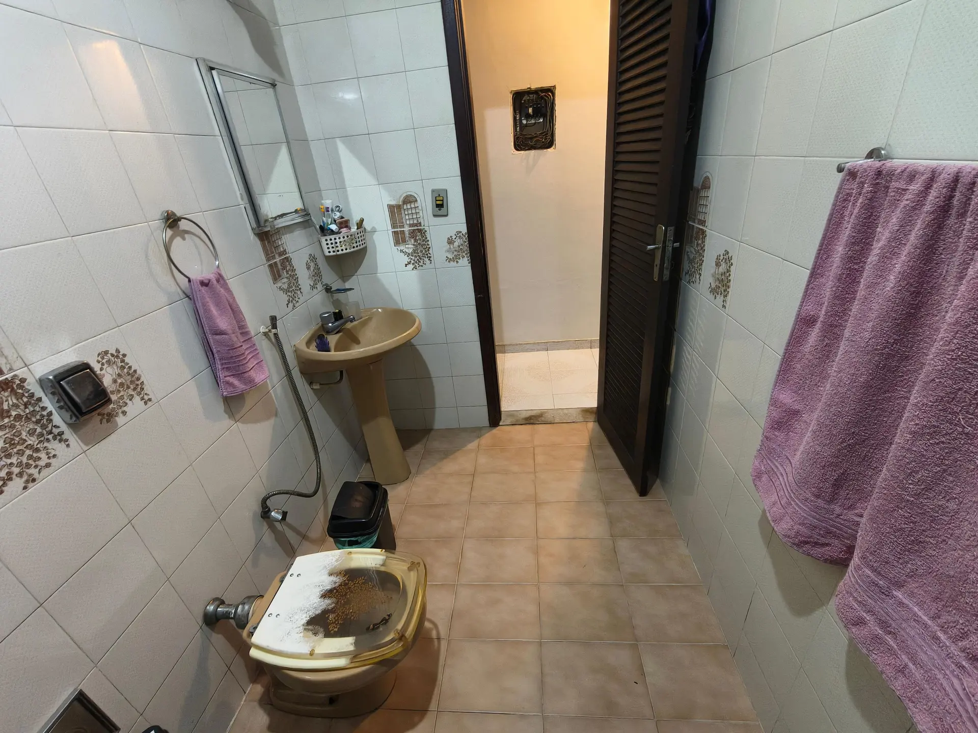 Furnished house with 5 bedrooms and 5 bathrooms — photo 60