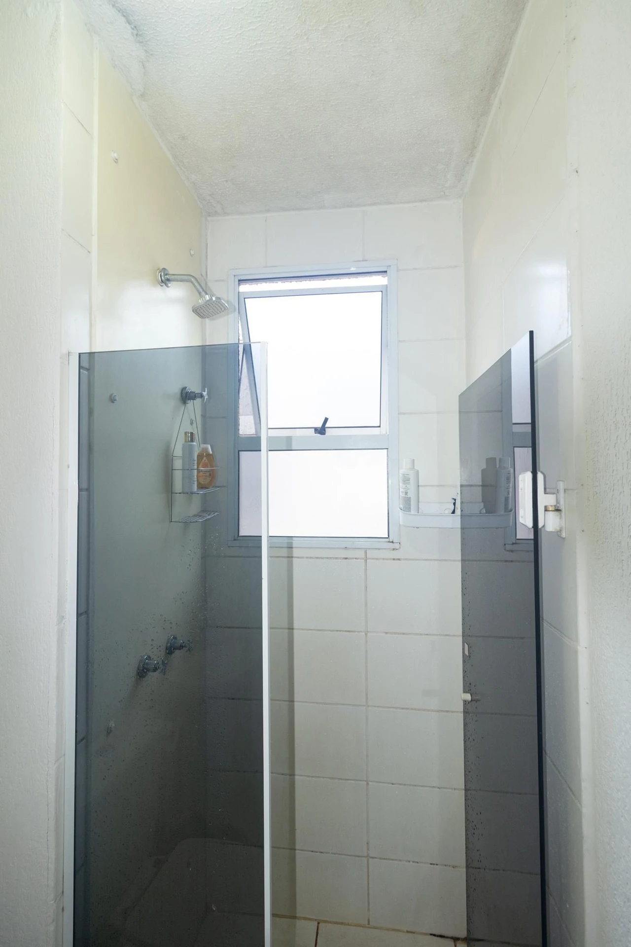 43 m² apartment with a washing machine and a park view — photo 21