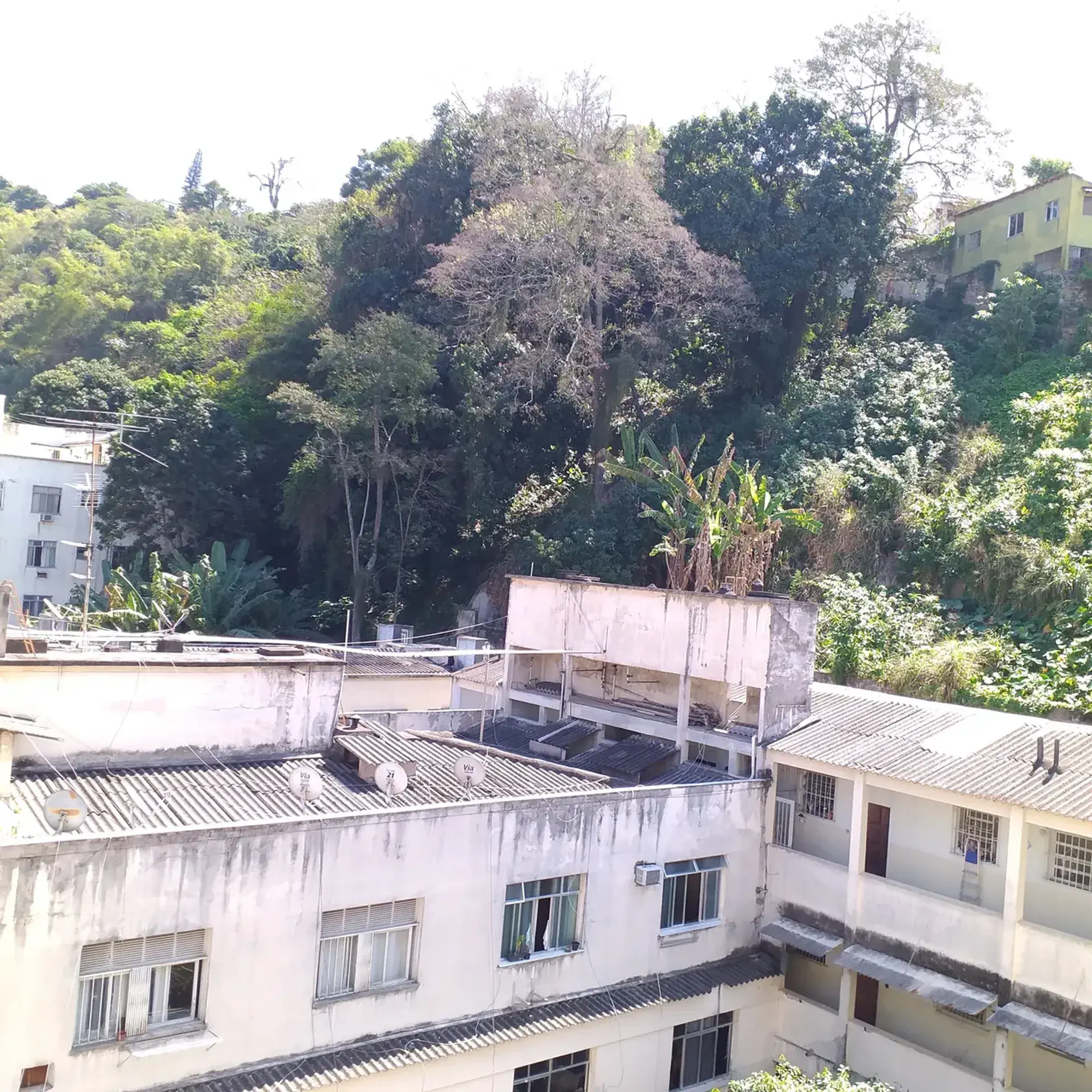 One-bedroom apartment with a home office in Rio de Janeiro — photo 13