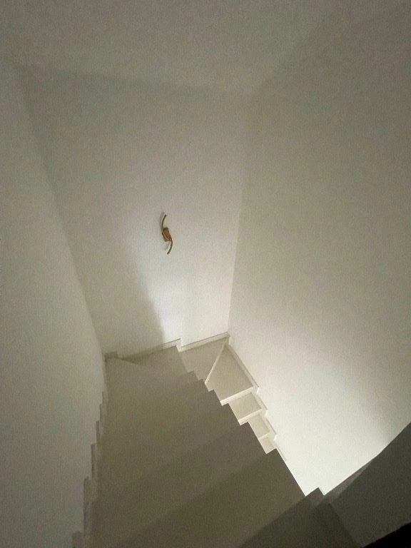 Casa com varanda gourmet, Recreio dos Bandeirantes — photo 36