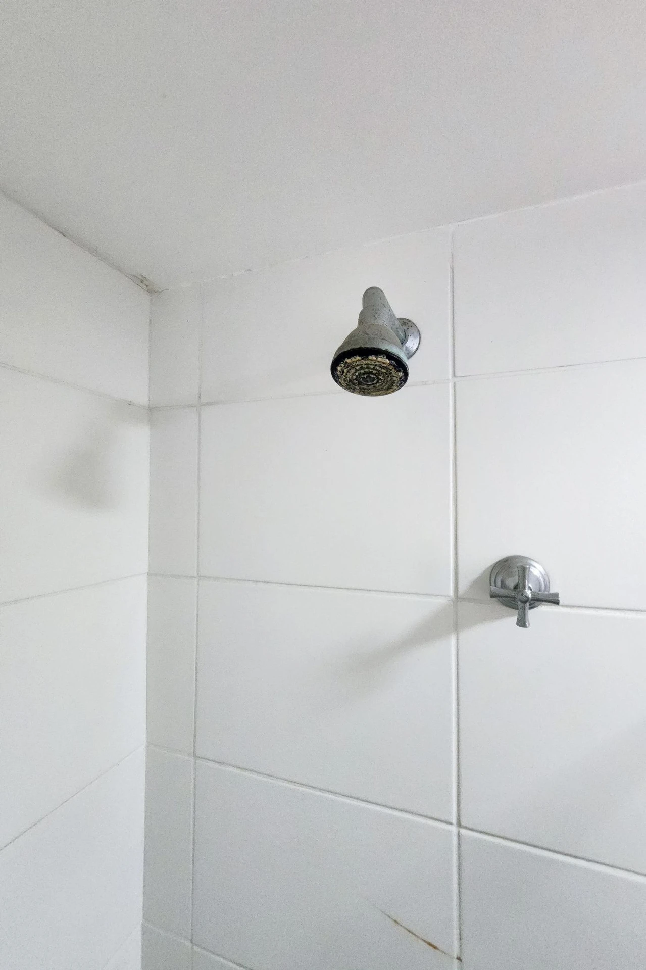 2-bedroom apartment in a building with a gym — photo 42