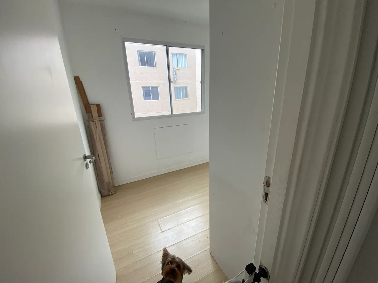 Apartamento para alugar com cozinha separada e 2 quartos — photo 19