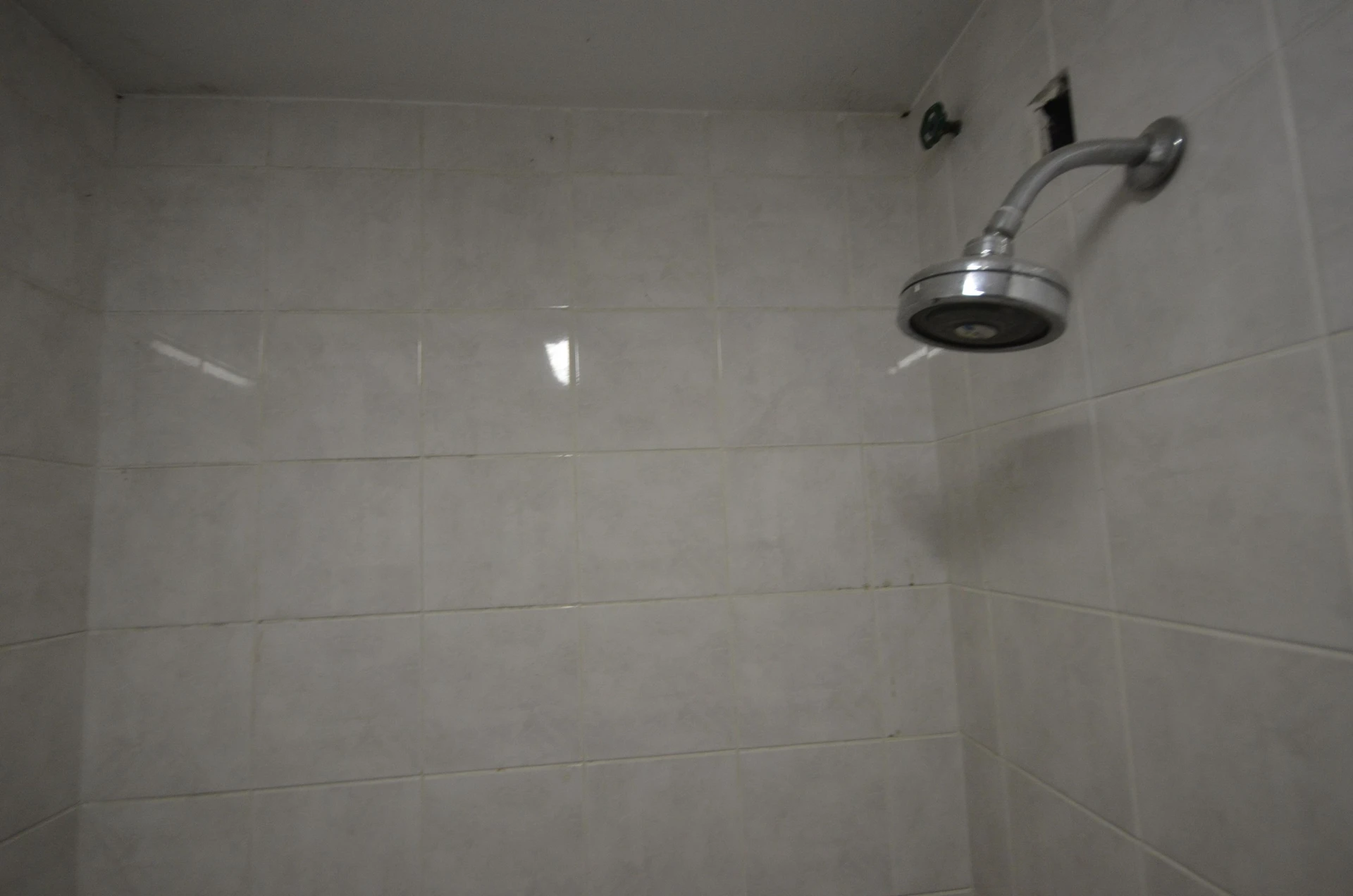 Furnished house with 7 bedrooms and 7 bathrooms — photo 59