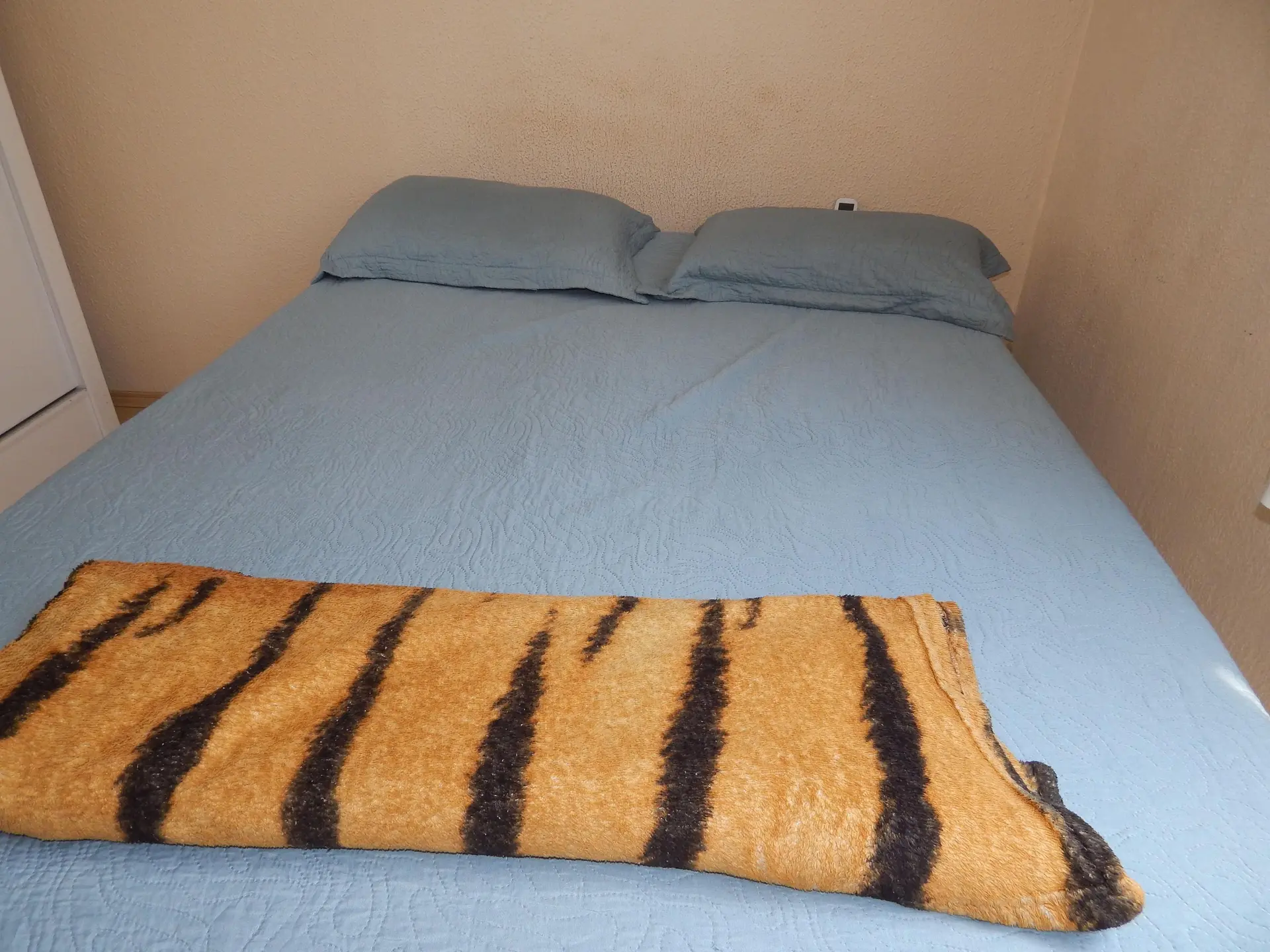 2-bedroom apartment with wood or laminate floors — photo 15