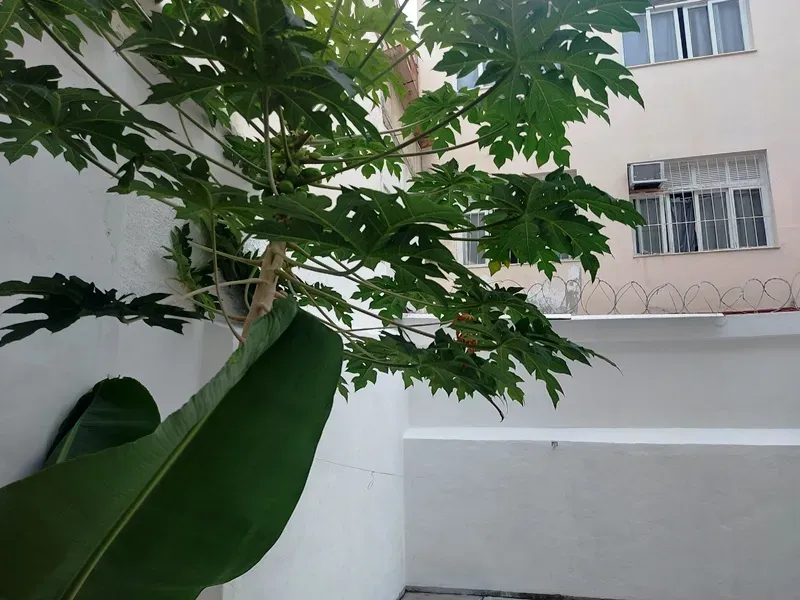 3-bedroom house, 76 m² — photo 18