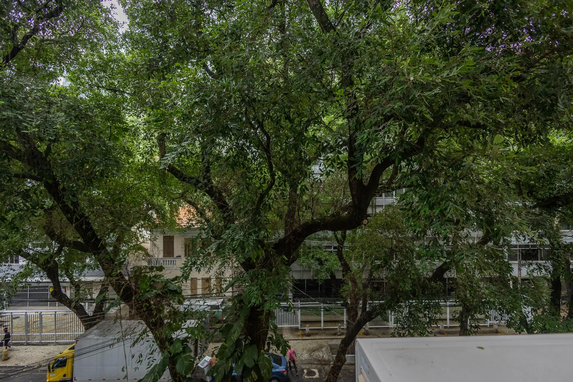 3-bedroom apartment with a park view — photo 7