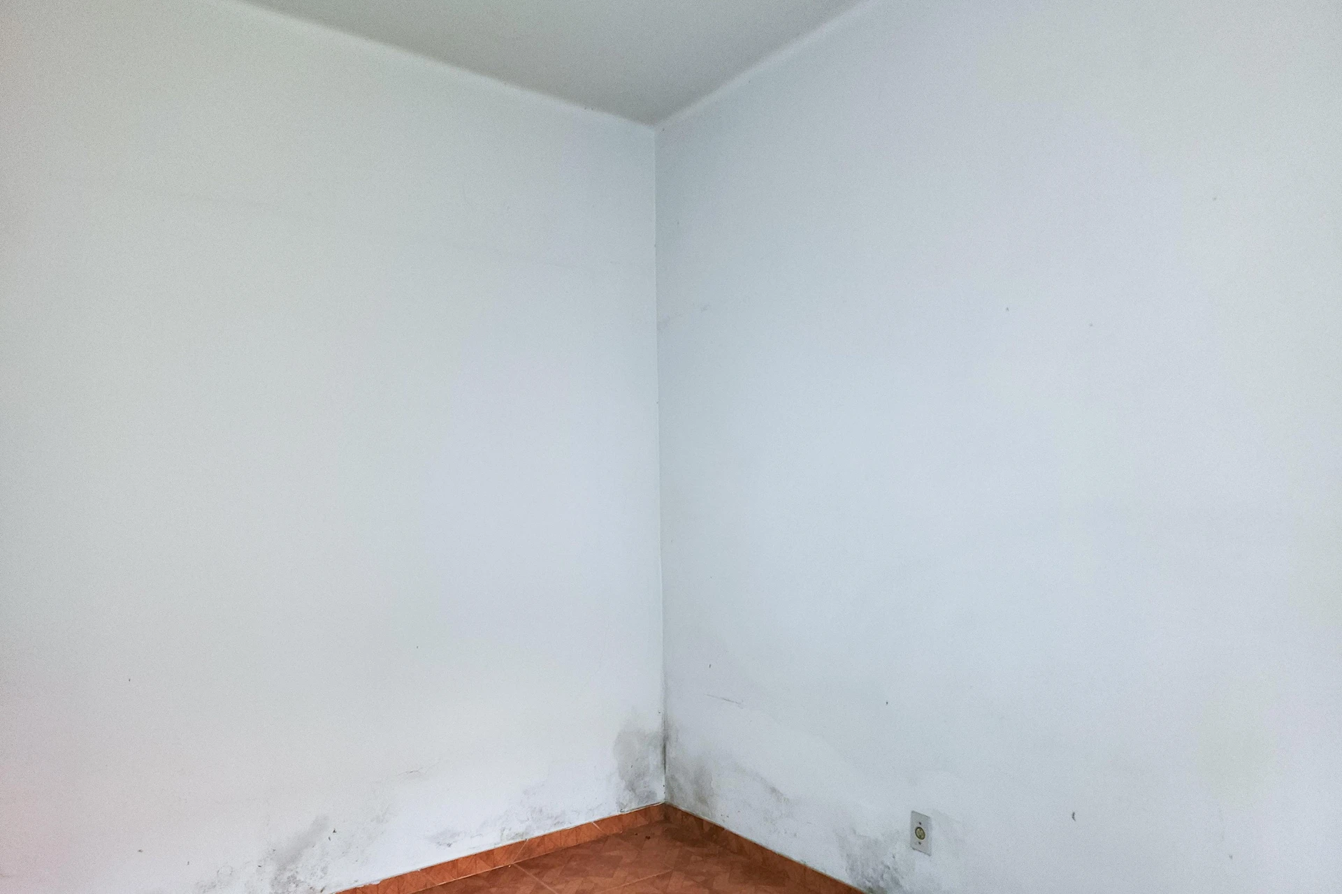 2-bedroom apartment with a home office — photo 21