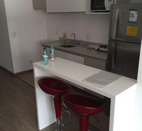 Furnished 1-bedroom apartment with 43 m² and 1 parking — photo 2