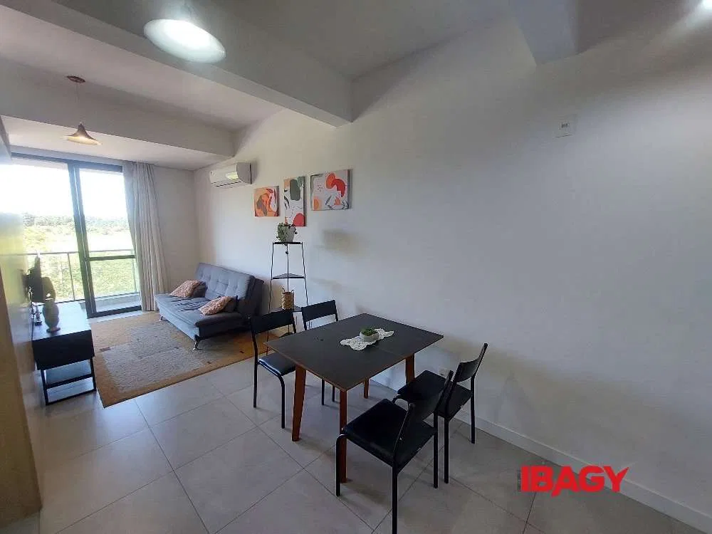 Furnished 1-bedroom apartment with balcony and 43 m²