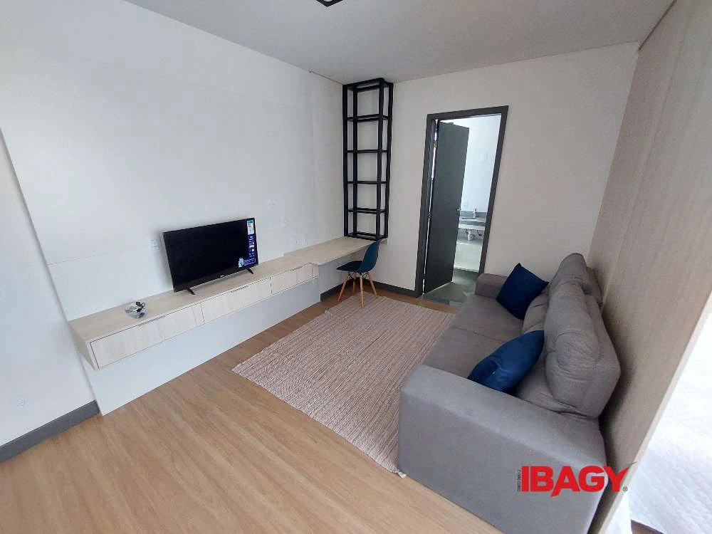 Apartamento amueblado de 1 dormitorio con plaza y 39 m² — photo 2