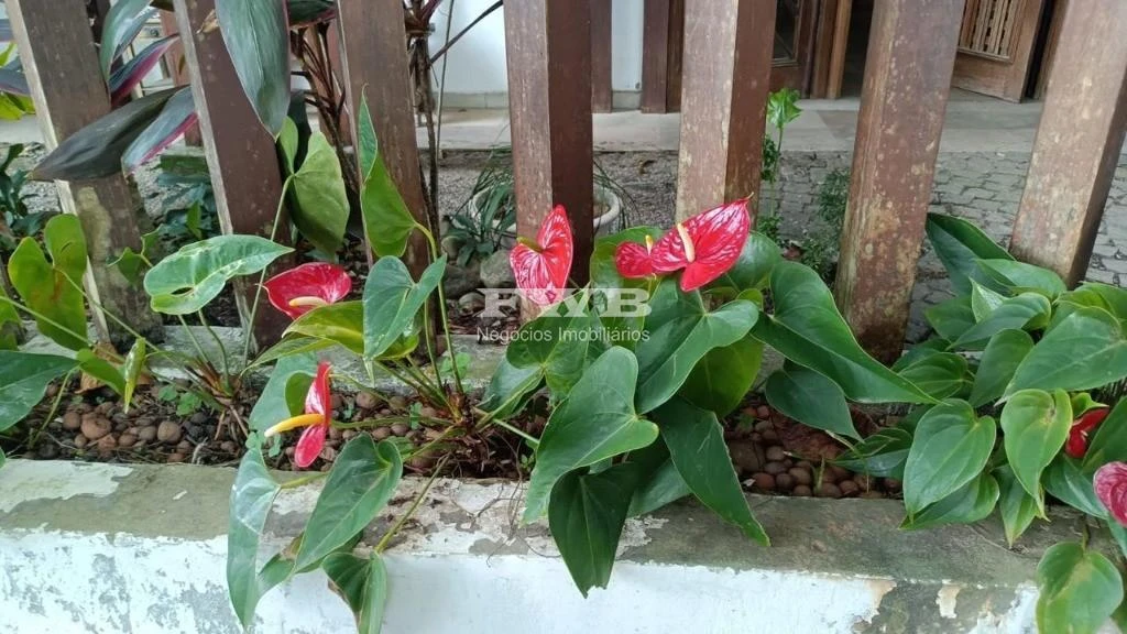 Casa de 5 quartos com banheira, Barra da Tijuca — photo 5
