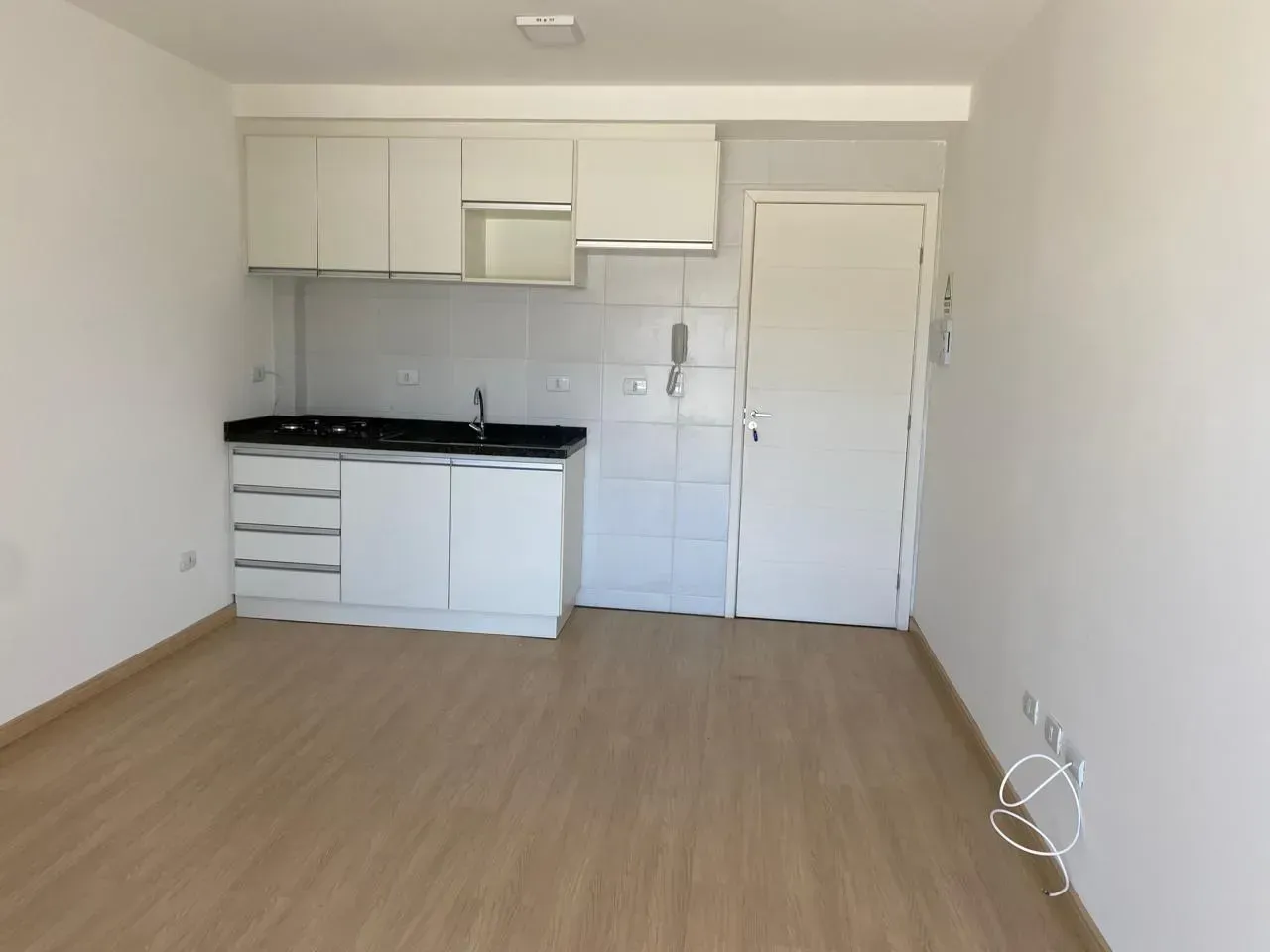 1-bedroom apartment with an open-plan kitchen — photo 2
