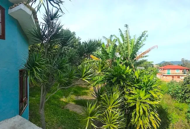 One-bedroom house with a fireplace in Florianópolis — photo 3