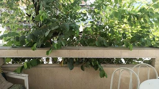 Будинок із 3 спальнями та робочим місцем — photo 12