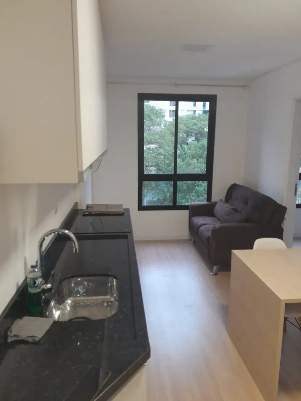 Furnished 1-bedroom apartment with open-plan kitchen — photo 2