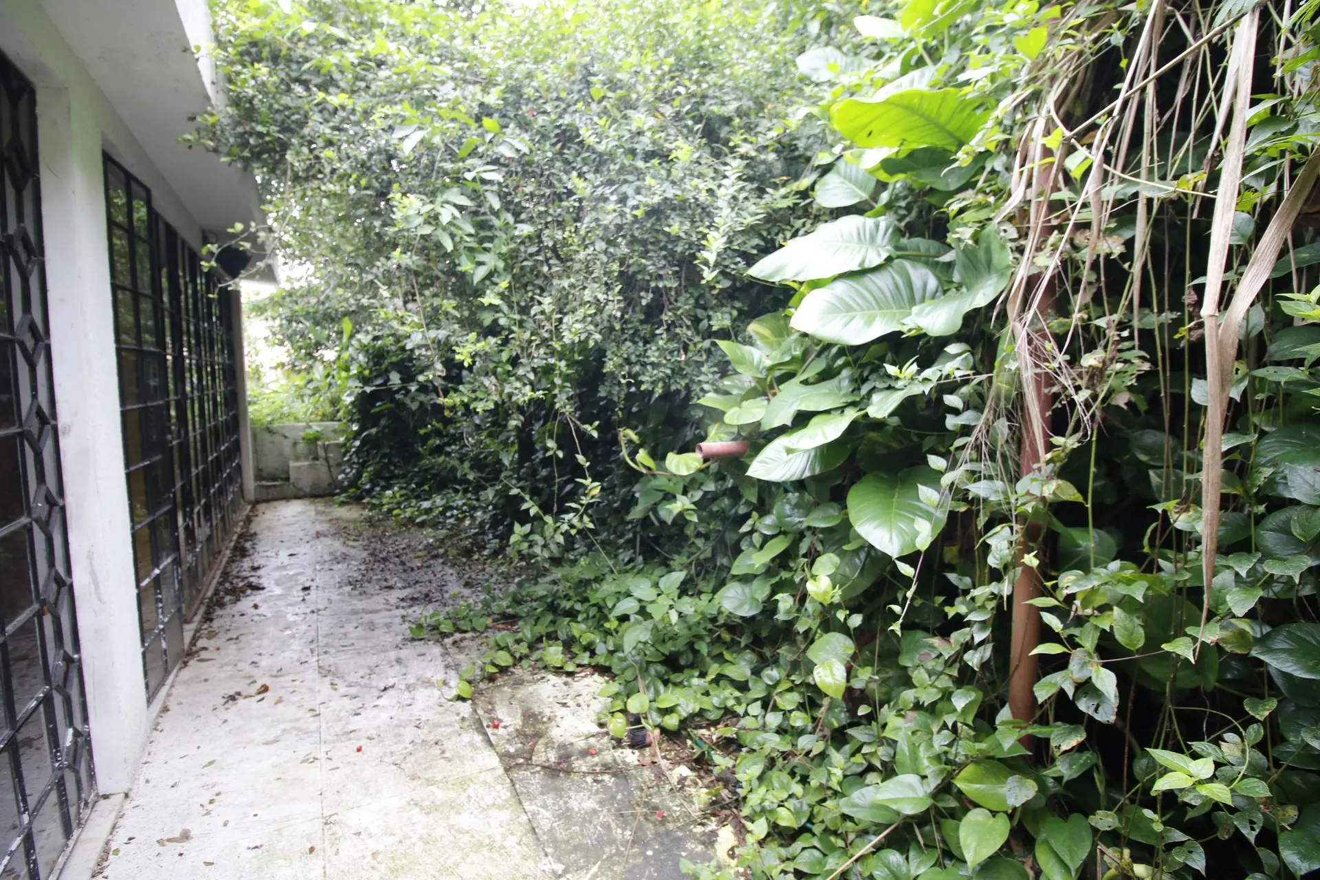 Mountain view in a 3-bedroom house, 460 m² — photo 61