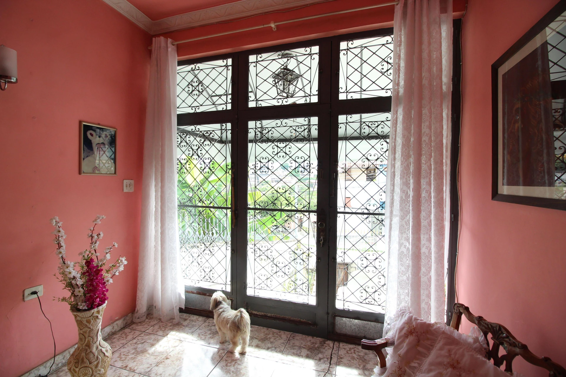Furnished 3-bedroom house with a private garden — photo 30